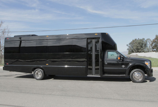 Medium Party Bus